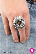 Load image into Gallery viewer, Take Your Pick - Paparazzi Brown Ring - BlingbyAshleyNicole
